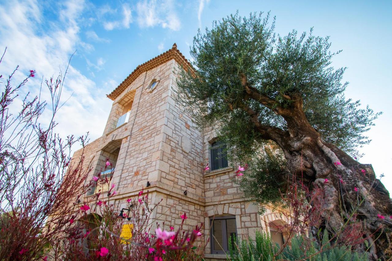 Villa Olga